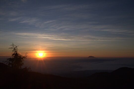 Golden sunrise over mountain peaks and sea of clouds. Silhouette of pine tree in foreground. Serene morning landscape with orange sun and blue sky.