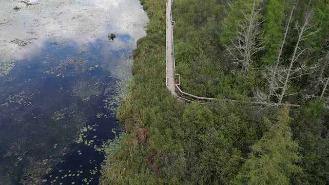 Aerial video of a boardwalk built over a wetland on the edge of deep blue lake. A path built for hiking and exploring protected natural areas. Forest and bog ecosystems, Pelican Lake, Minnesota, NA