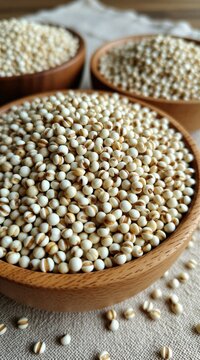 Raw Job tears seeds heap in small round wooden bowls. Dried organic cereal grains provide healthy food source for cooking delicious vegetarian meals. Close up view shows natural rustic texture of