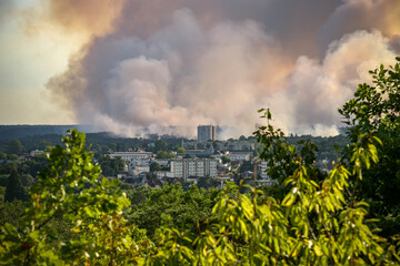 Fototapeta premium panoramic view of the fire in the Fontainebleau forest