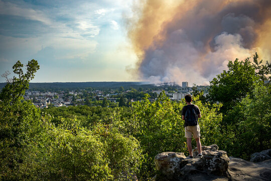 panoramic view of the fire in the Fontainebleau forest