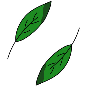 green leaves illustration