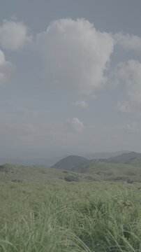 夏の平尾台の景色(4k, 24fps, slog, All-Intra)