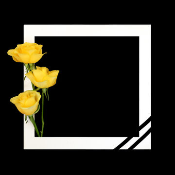 Funeral memorial rose flower tribute card on black background white frame border with ribbon. Order of service, in sympathy card, invitation.