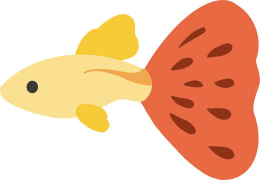 fish guppy