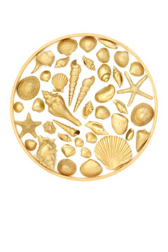 Circular gold shell objects decoration with wooden frame on white. Seashells natures beauty, abstract gilded logo design.