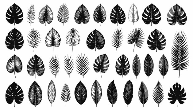 Collection of various leaf shapes.