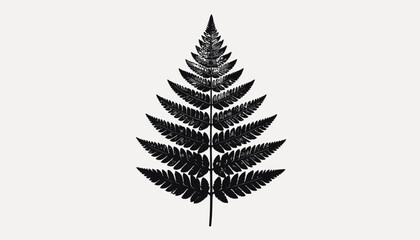 Detailed black fern leaf illustration. © Cetak