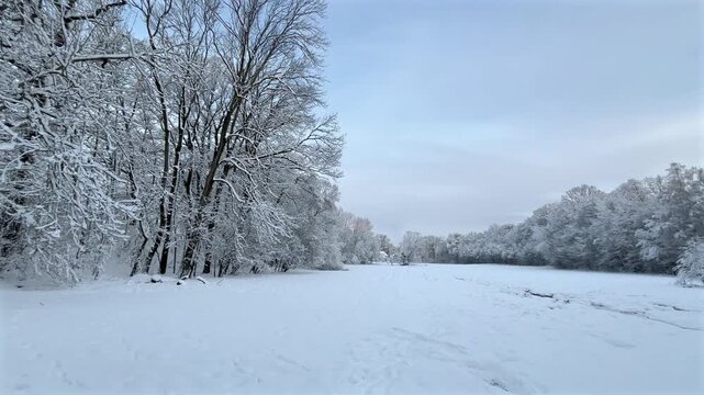 Winter landscape with snowy forest. Peaceful nature scene with snow covered trees and calm seasonal atmosphere.	
