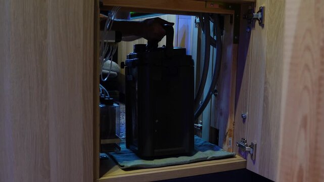 saltwater aquarium marine aquarium reef tank