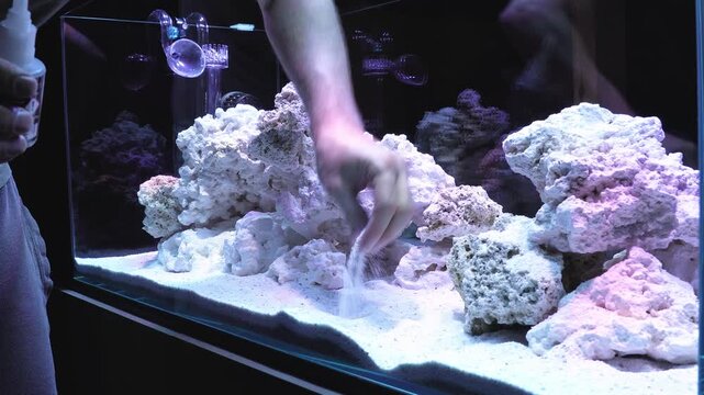 saltwater aquarium marine aquarium reef tank