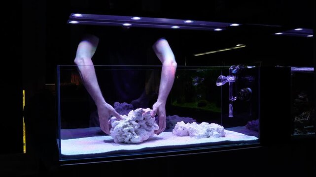 saltwater aquarium marine aquarium reef tank