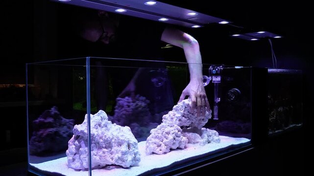 saltwater aquarium marine aquarium reef tank