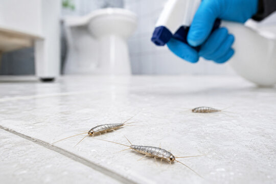 Person using chemical spray to eliminate silverfish in bathroom. Professional exterminator combating house pests. Domestic hygiene, home pest control and insect removal service concept