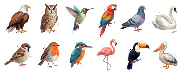 Fototapeta premium Bird icons set. Diverse avian species concept. Includes eagle, owl, hummingbird, macaw, pigeon, swan, sparrow, robin, kingfisher, flamingo, toucan, pelican. Watercolor style