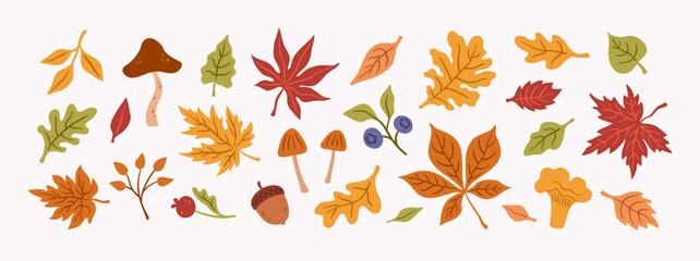 Autumn set of leaves and berries. Hand-drawn vector illustration © cozy studio