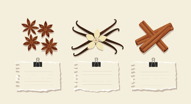 Culinary illustration displays star anise, vanilla pods, and cinnamon sticks with torn paper notes for recipes or labels.