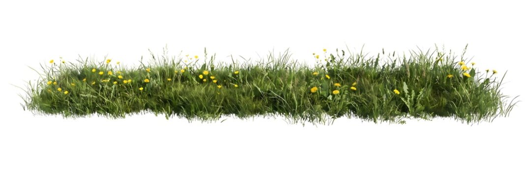 Green Grass Meadow Strip with Yellow Wildflowers PNG, Nature Border Isolated Clipart for Backgrounds Designs