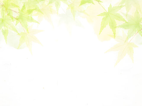 Fresh Green Japanese Maple Watercolor Background for Japanese Tea and Wagashi with Elegant Washi Paper