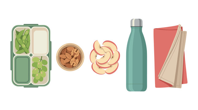 Healthy lunch box with edamame, grapes, nuts, slices, water bottle, and napkins, flat vector illustration set