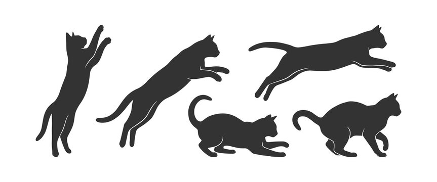 Cat Silhouette Set Collection &ndash; Sitting, Standing and Fluffy Cat Black Vector Icons Isolated on White Background