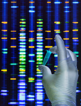 Scientist holding a DNA sample with the results on a computer sceeen in a laboratory