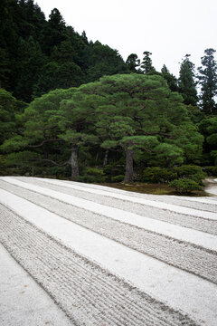 Japan, Kyoto, Footpath in garden near temple