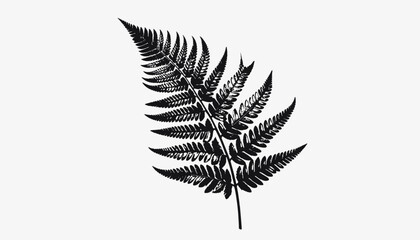 Detailed illustration of a fern leaf. © CetakUndangan