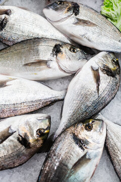 Fresh raw gilthead seabream fish on ice at a traditional market