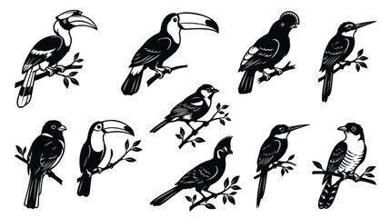 Exotic Bird Silhouettes Collection, Tropical Avian Vector Set, Nature Wildlife Graphics, Black and White Ornithology Illustrations © Sidra