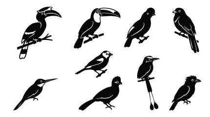Diverse Bird Silhouettes Collection, Tropical Toucan and Hornbill Vector Icons, Avian Wildlife Graphic Elements, Nature and Zoo Illustrations © Sidra