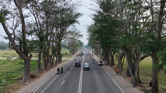 Asphalt Road with Tall Trees and Tropical Traffic Flow