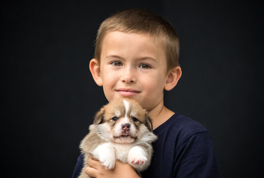 Young Boy Holding a Cute Corgi Puppy