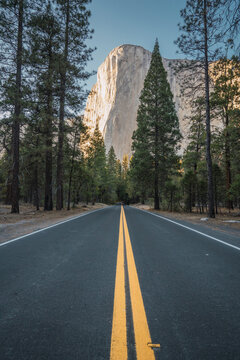 USA, California, Yosemite National Park, road and El Capitan