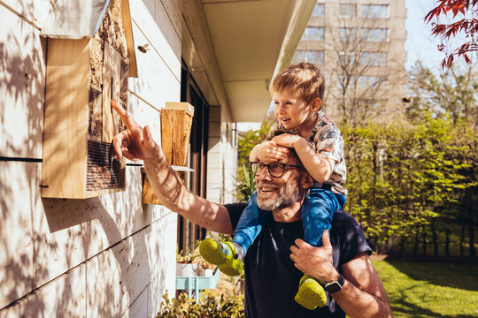 Father and son inspecting their insect hotel with bees