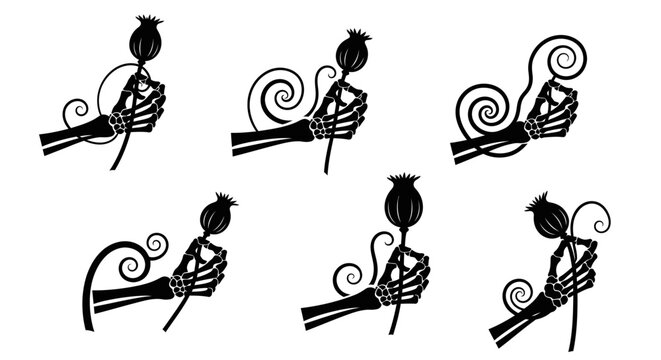 Skeleton hands holding opium poppy flower pods in gothic style set