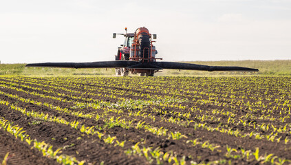 Tractor spraying young corn field with boom sprayer © Dusan Kostic