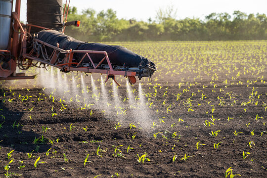 Agricultural sprayer applying crop protection on young corn field
