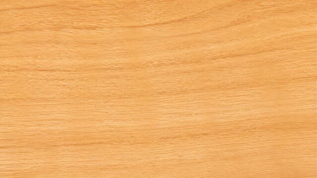 wood texture background