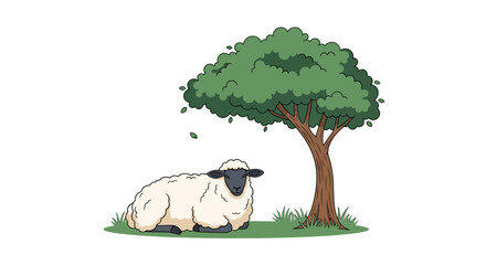 White Sheep Resting Under Tree Shade. © Ahmad