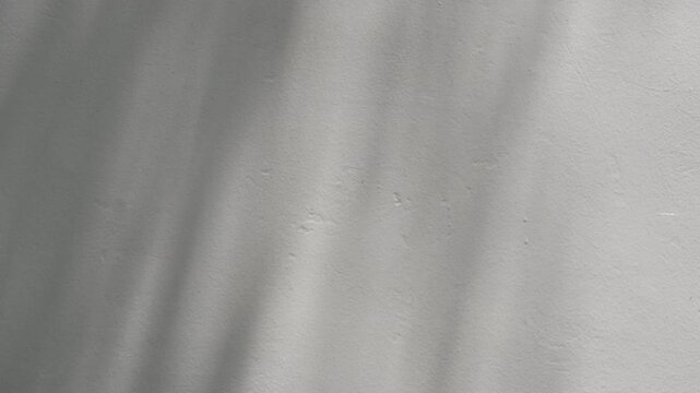 Delicate Foliage Shadow Lines Swaying on Minimalist Wall in Bright Daylight for Minimalist Backdrop