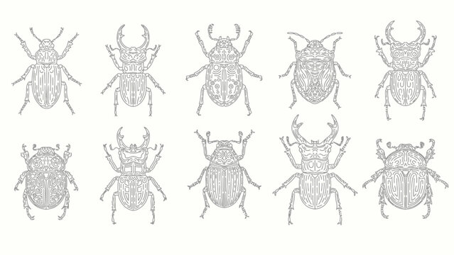 Geometric linear beetle and stag beetle ornate outline vector set
