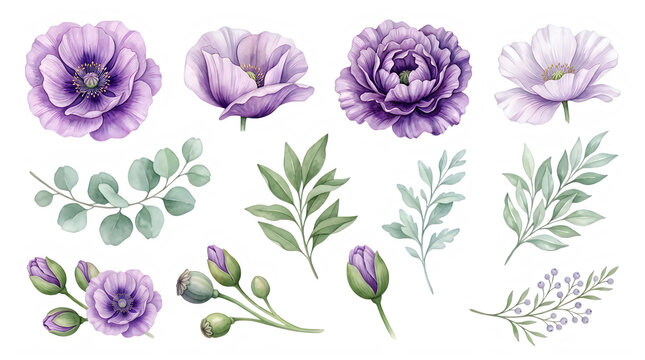 Purple flowers and green leaves arrangement