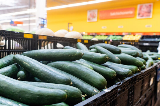 Fresh Green Cucumbers Piled High in Dark Plastic Crates Ready for Sale