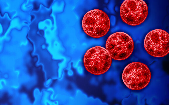 Cyclosporiasis health crisis as an outbreak as a foodborne parasitic illness caused by Cyclospora cayetanensis as an outbreak with contaminated food or water resulting in explosive diarrhea and digest