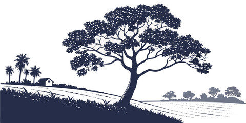 Silhouette of a coconut palm tree against a white background, countryside setting coconut tree © Gf