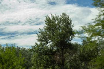 Fototapeta premium road to the sky