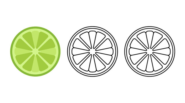 Flat vector citrus lime slice icons and line art set