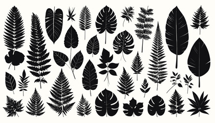 Collection of various leaf shapes. © Ikhsan