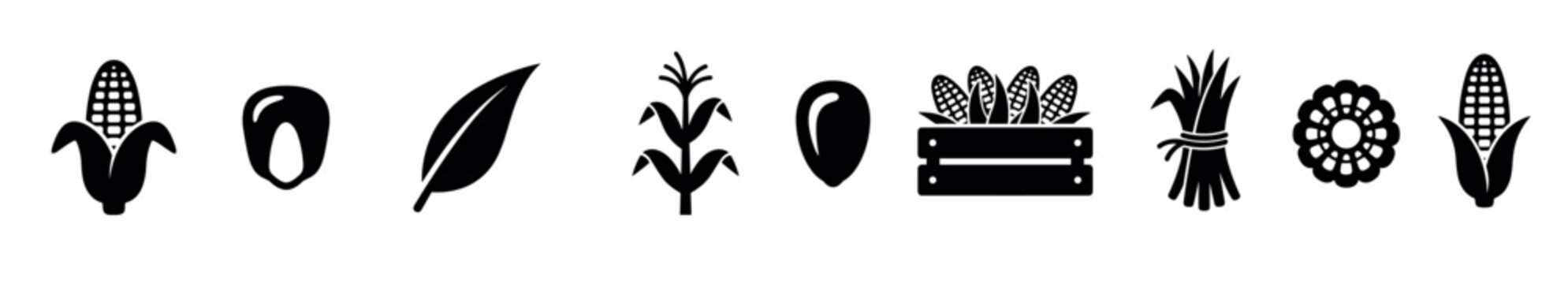 Various corn maize kernels cobs plant harvest agriculture icons representing farming, food, and natural organic produce elements in a simple graphic collection.